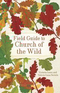 BL_FieldGuideToChurchOfTheWild_Cover_9781506496351c