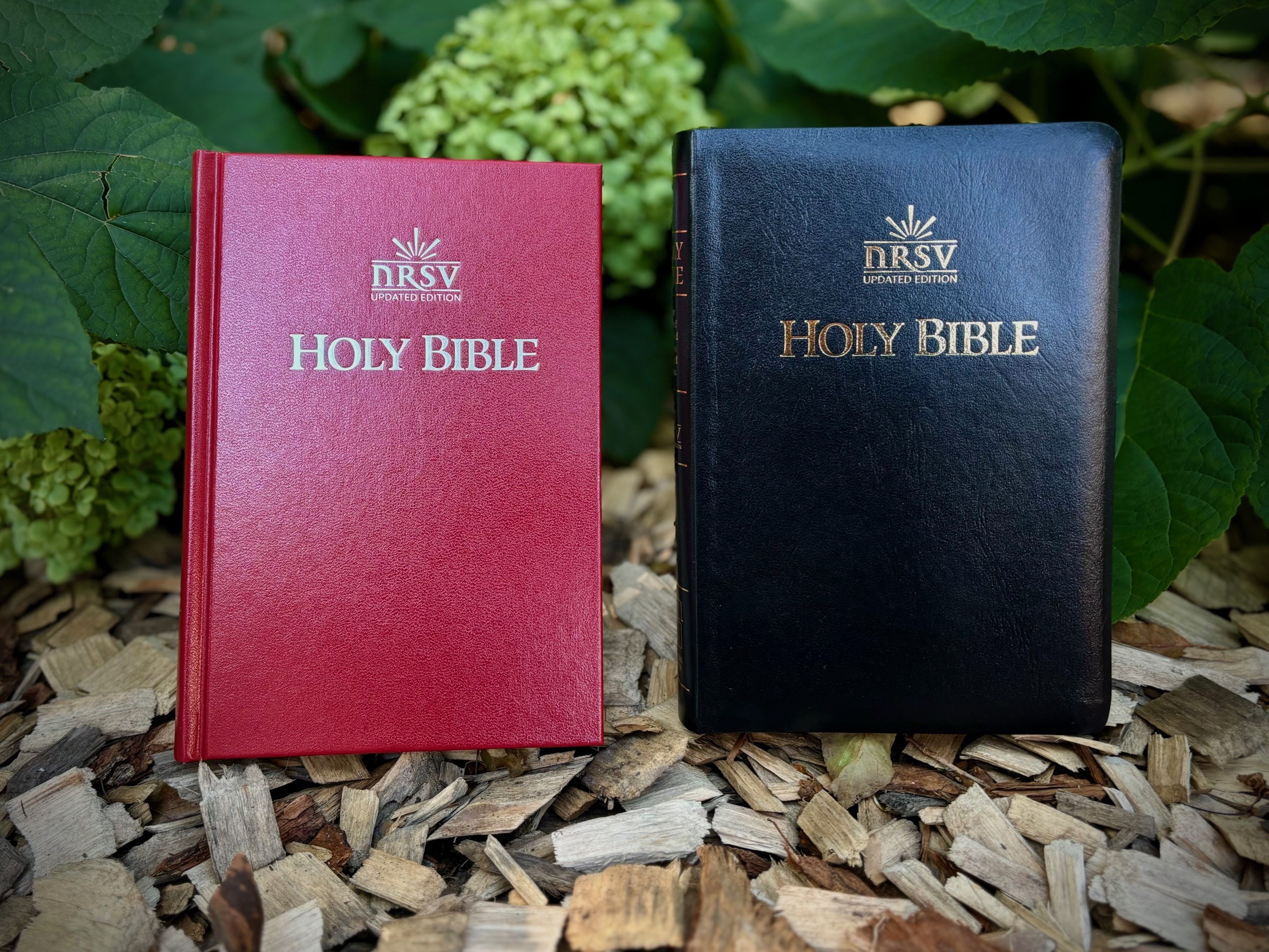 NRSVue Bibles Now Available from Augsburg Fortress!